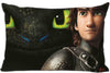 Best Custom Pillow Case How To Train Your Dragon Rectangle Pillowcases zipper 35x45,40x60cm (One Side Print)180516-01