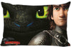 Best Custom Pillow Case How To Train Your Dragon Rectangle Pillowcases zipper 35x45,40x60cm (One Side Print)180516-01