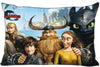 Best Custom Pillow Case How To Train Your Dragon Rectangle Pillowcases zipper 35x45,40x60cm (One Side Print)180516-01